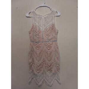 Lush Lace Flapper Dress